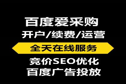 案例分析：百度竞价托管助力行业龙头